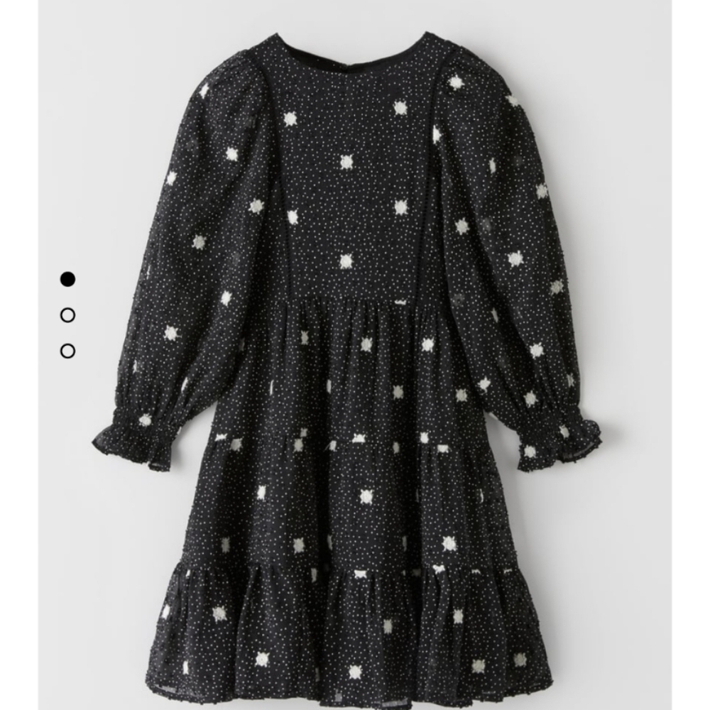 NWT Zara Dress 10